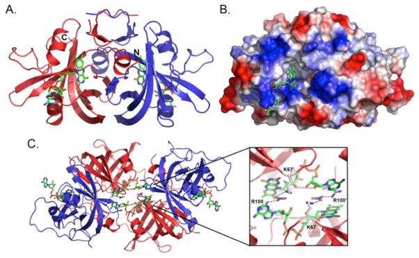 Figure 9