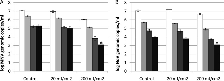 FIG 2