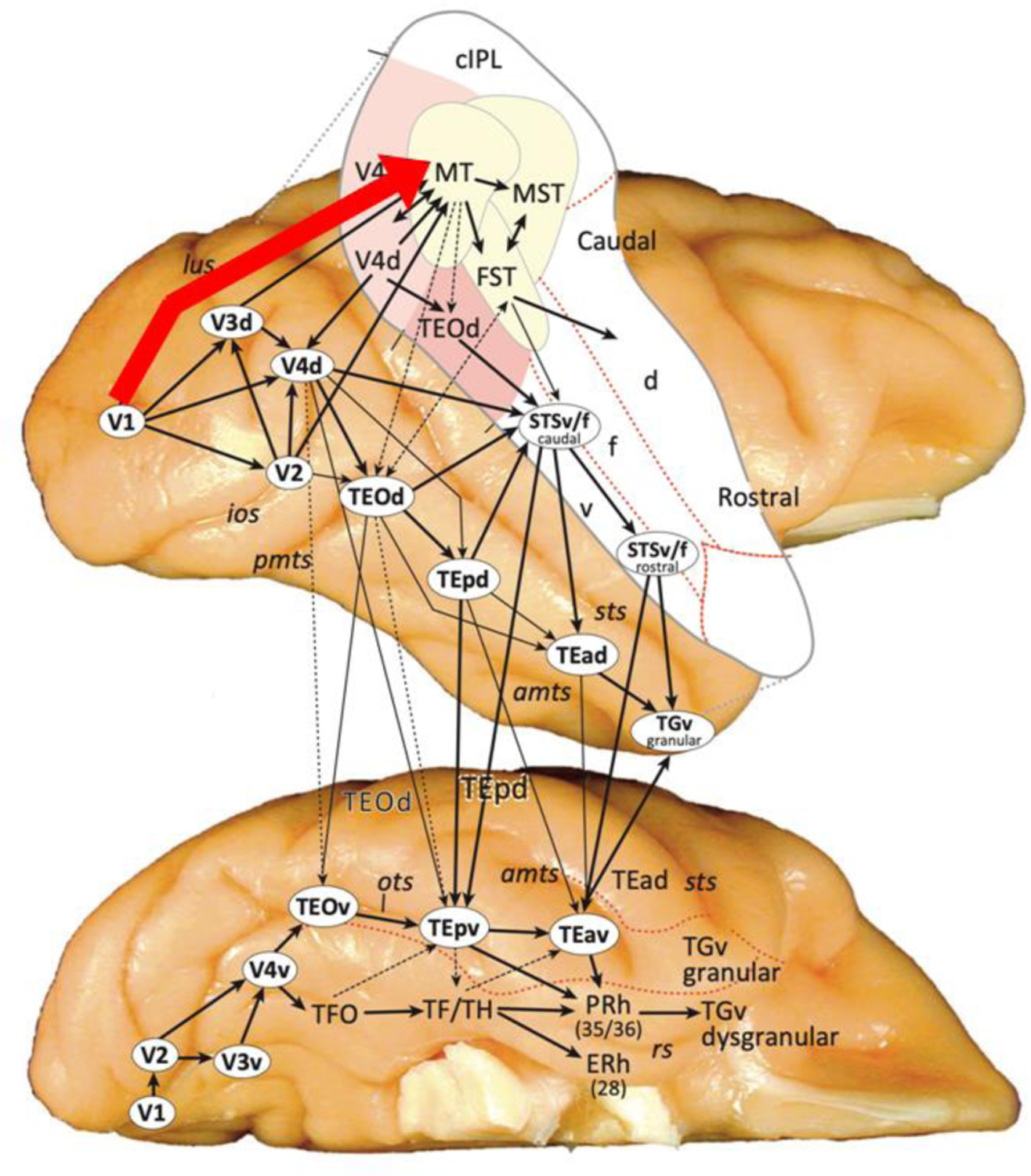 Figure 2.