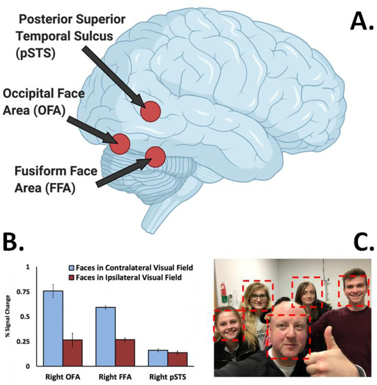 Figure 3.