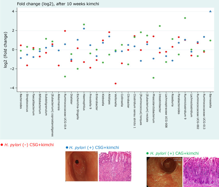 Fig. 7.