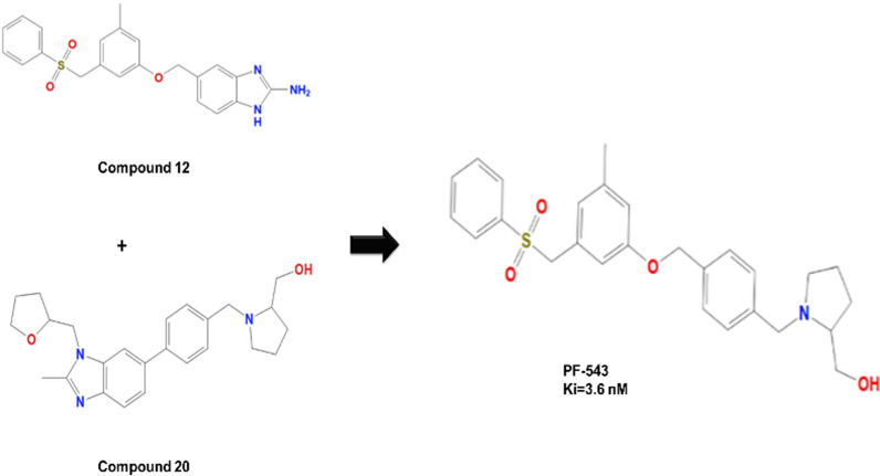 Fig. 7