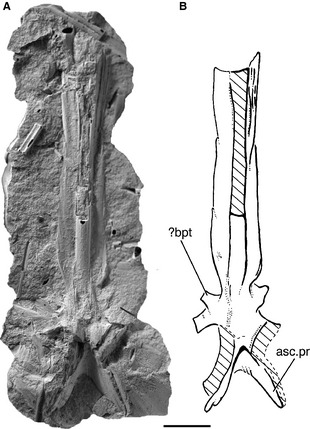 Figure 13