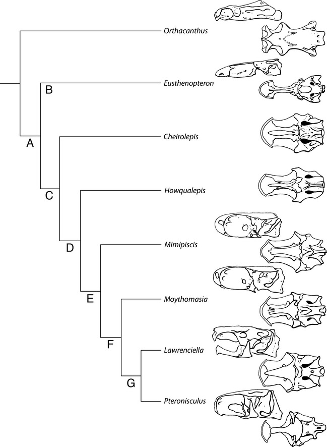 Figure 14