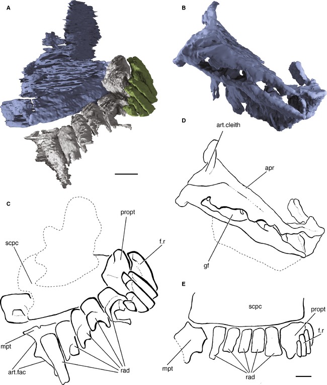 Figure 10