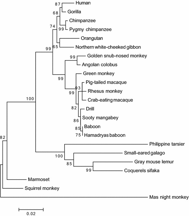 Fig. 3