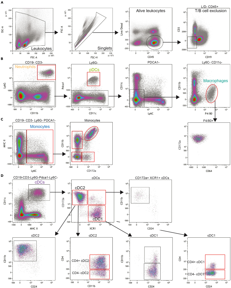 Figure 2