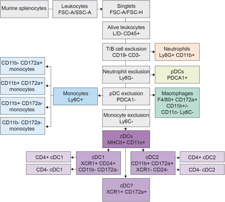 Figure 3