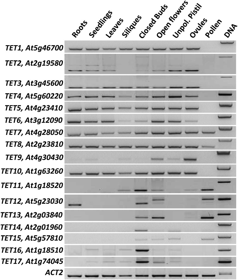 Figure 4.