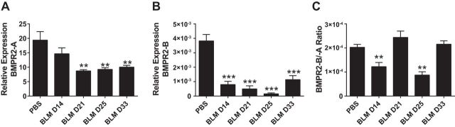 Fig. 13.