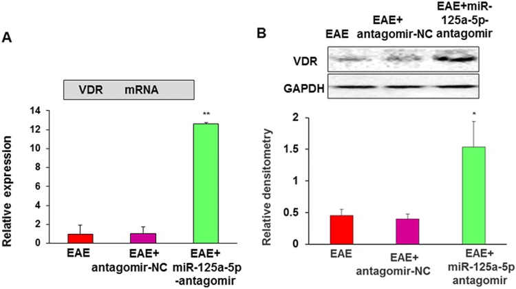 Fig. 9