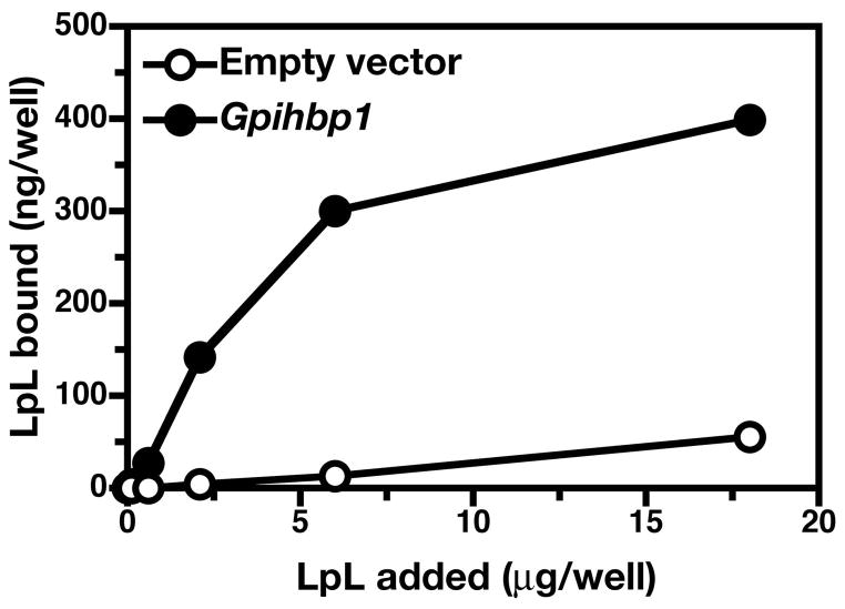 Figure 21