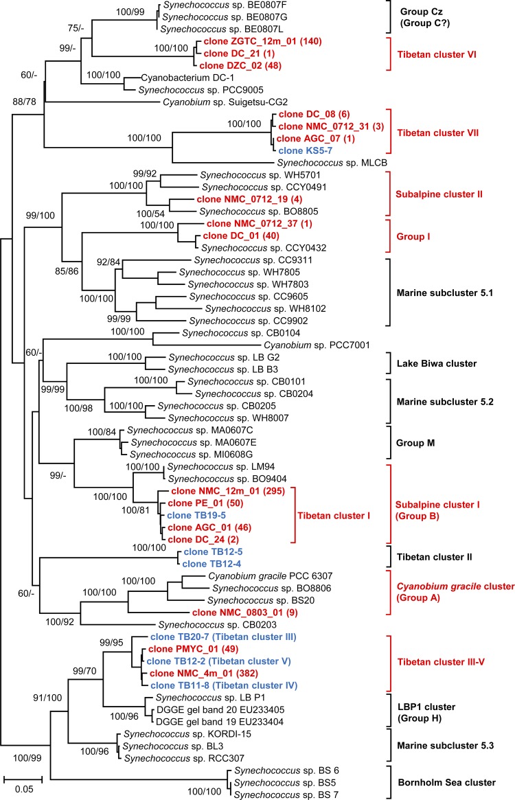 FIG 2