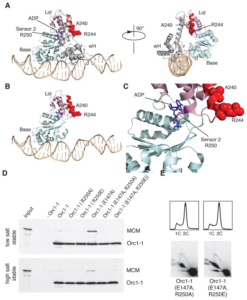 Figure 5