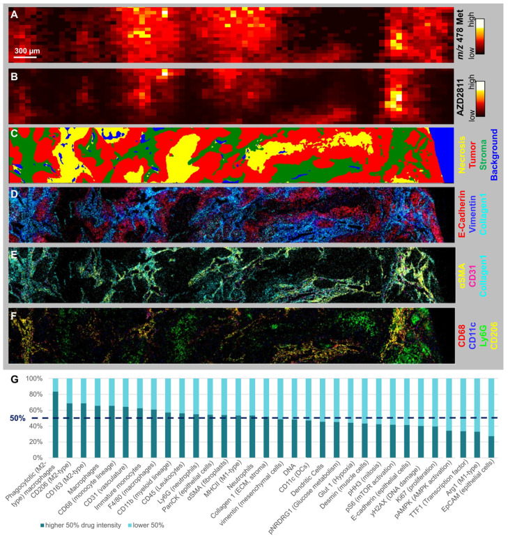 Multi Modal Molecular Imaging Maps The Correlation Between Tumor