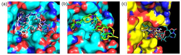 Fig. (9)