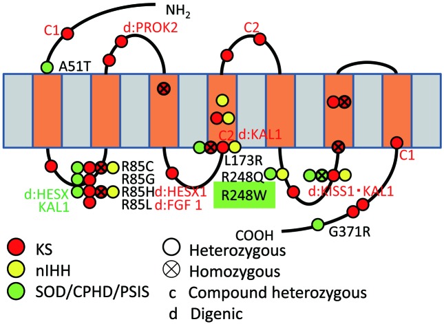 Fig. 4.