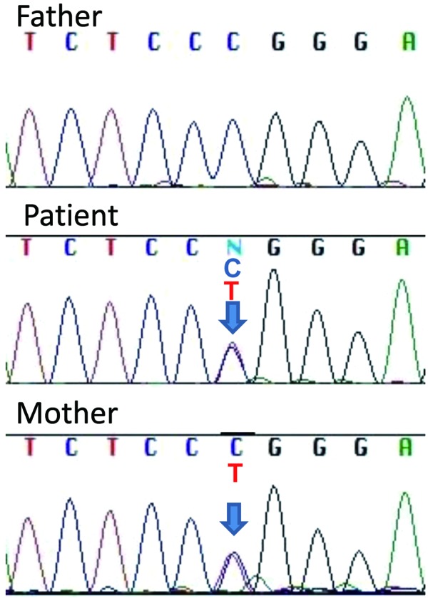 Fig.
3.