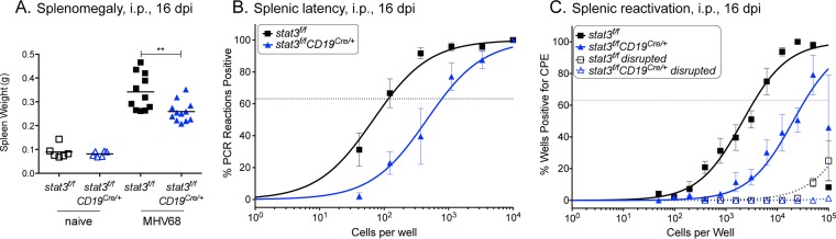 FIG 3 