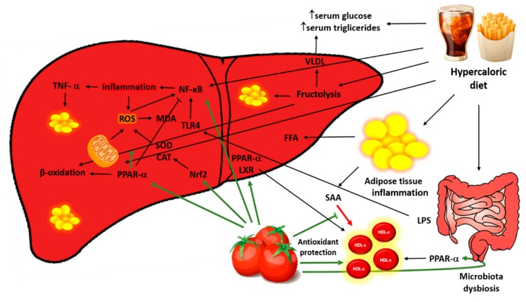 Figure 7