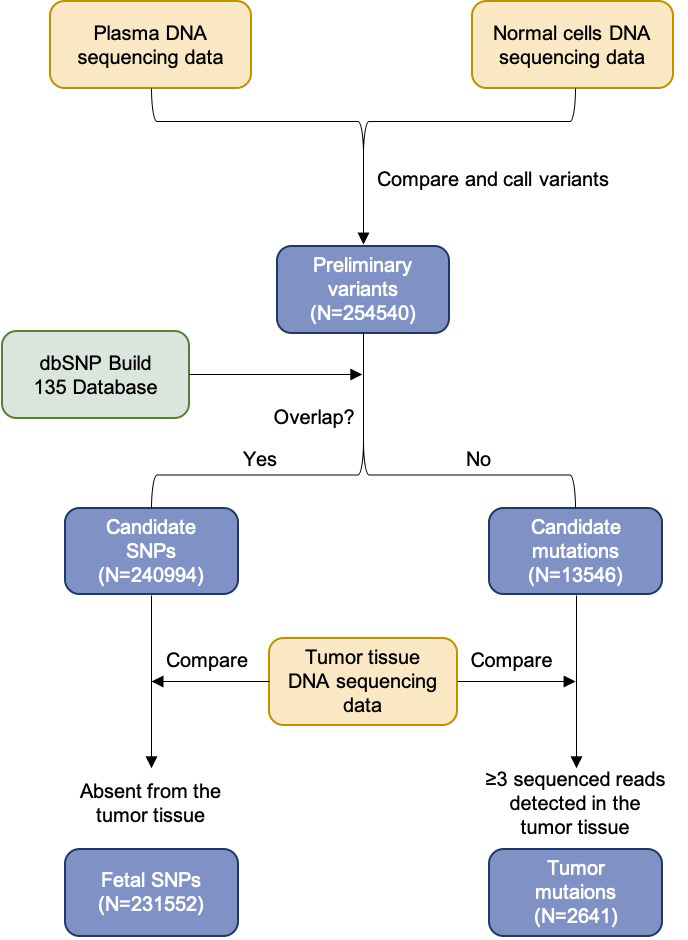 Figure 7.