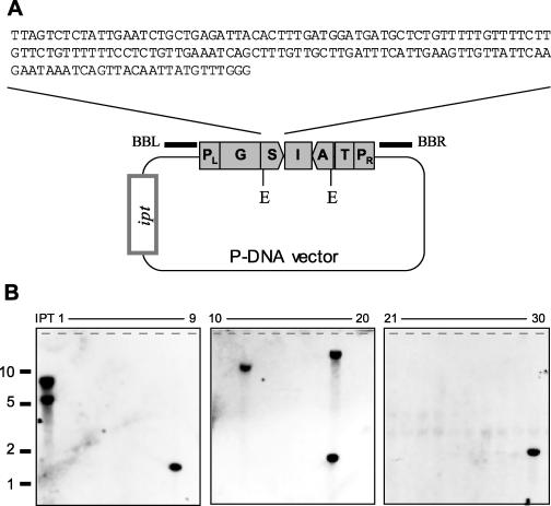 Figure 7.