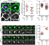 FIGURE 5: