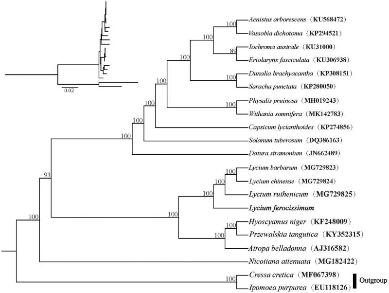 Figure 1.