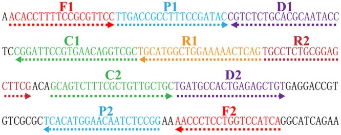 FIGURE 2