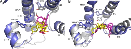 Fig. 6.