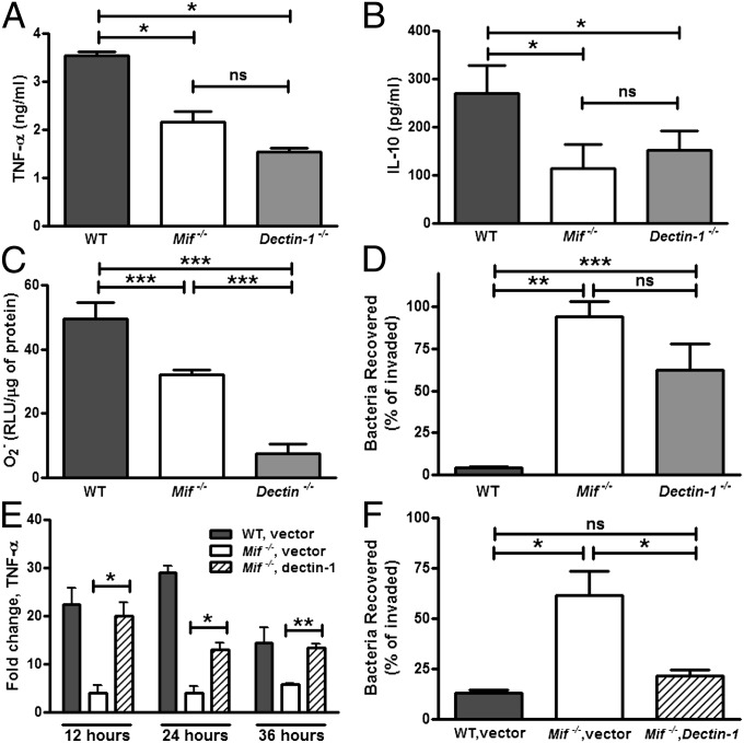 Fig. 9.