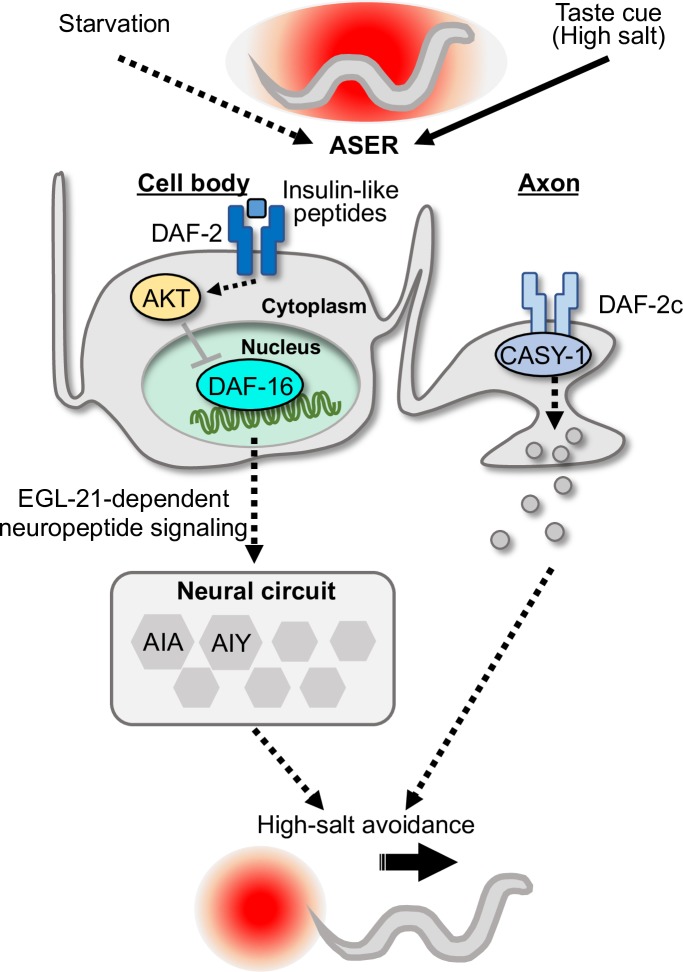 Fig 6