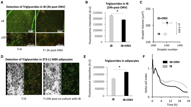 Figure 3