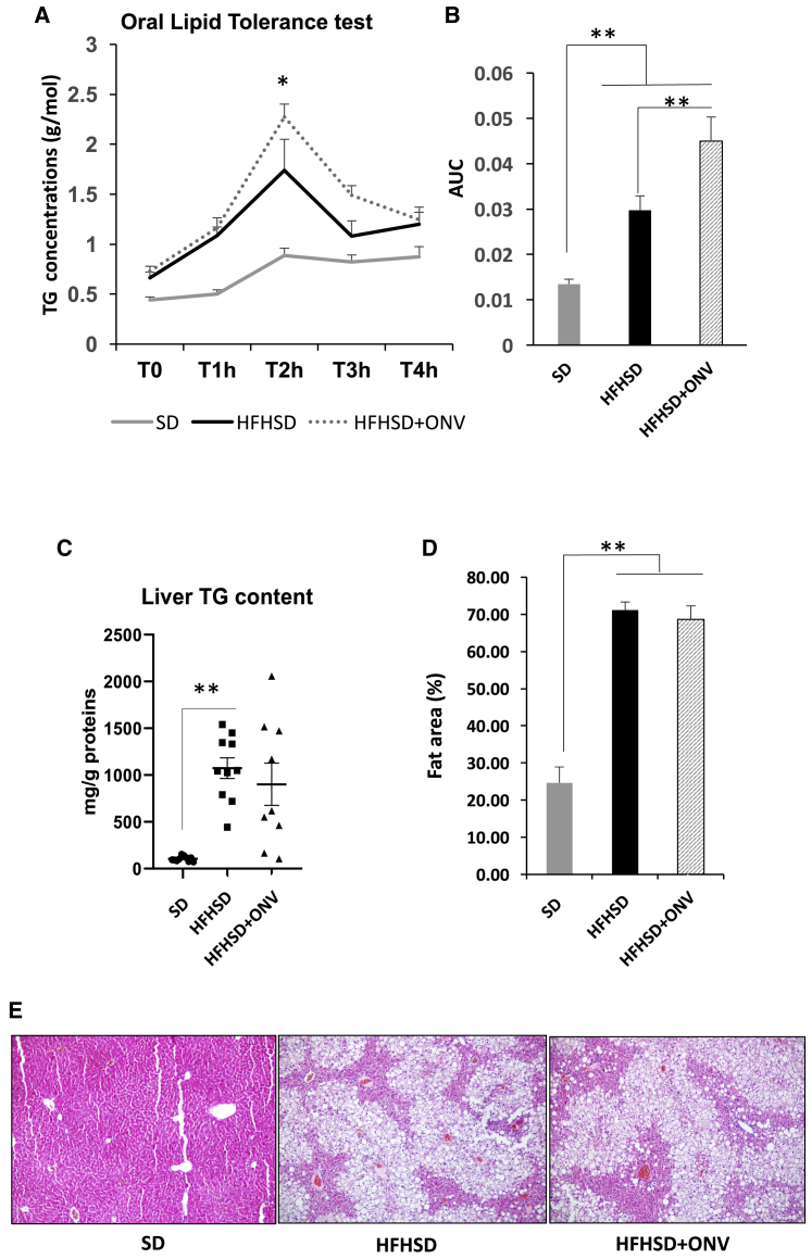 Figure 6