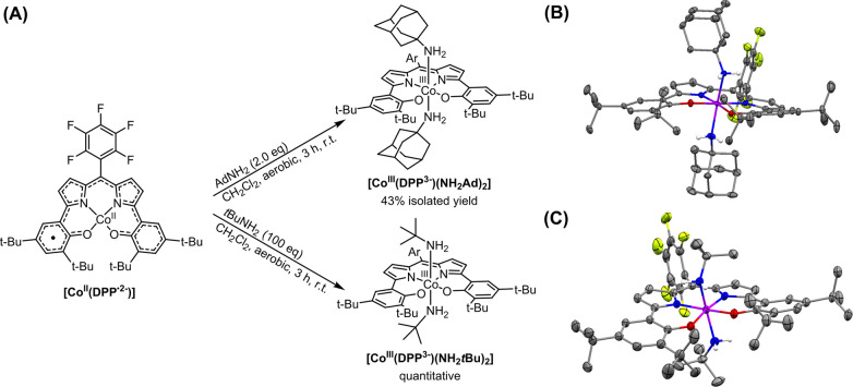 Scheme 4