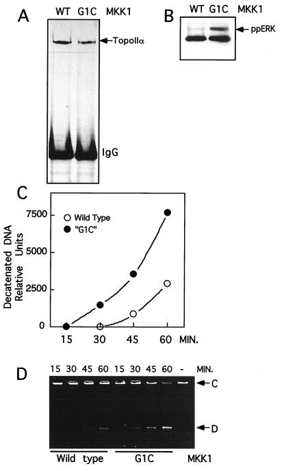 FIG. 9