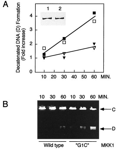 FIG. 8