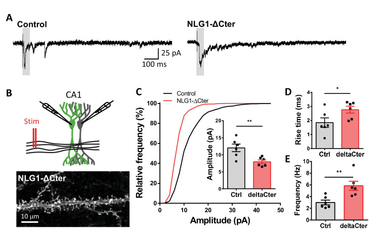 Figure 4—figure supplement 3.