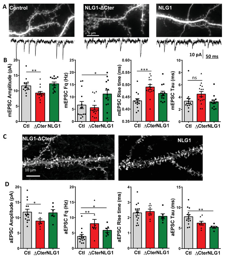 Figure 4—figure supplement 1.