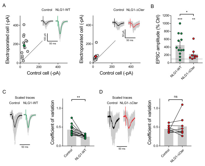 Figure 4—figure supplement 2.