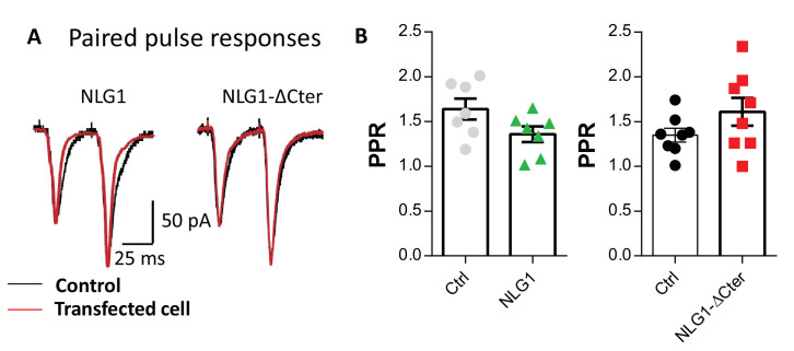 Figure 4—figure supplement 4.