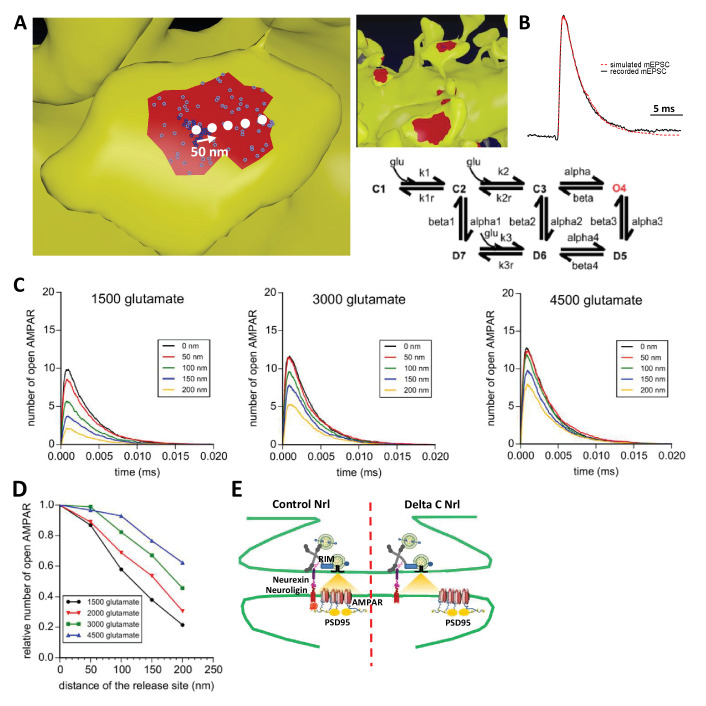 Figure 6.