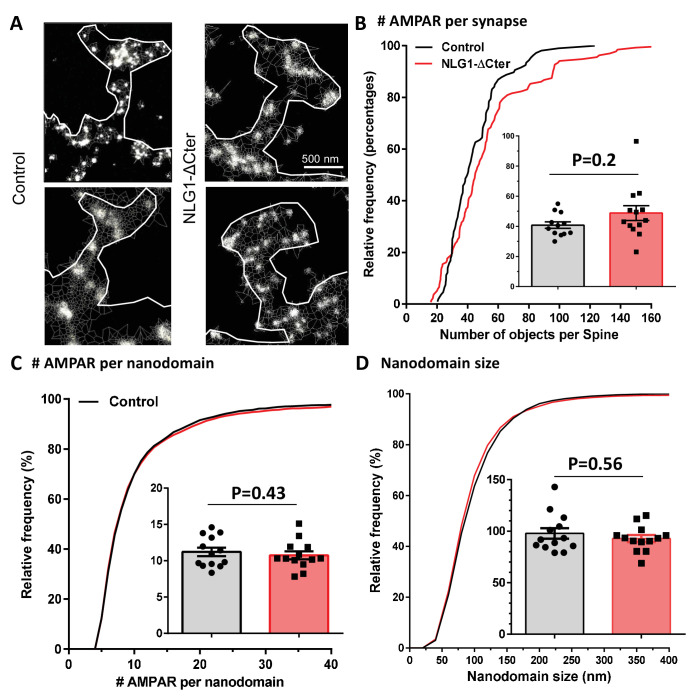 Figure 1—figure supplement 1.