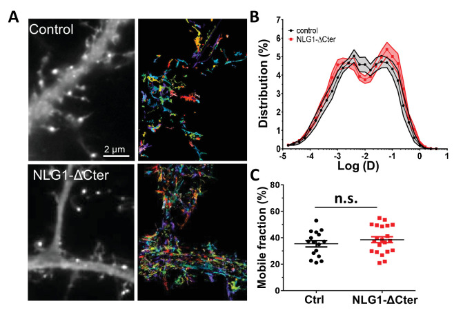 Figure 1—figure supplement 2.