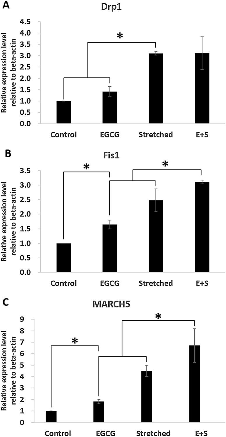 Fig. 7