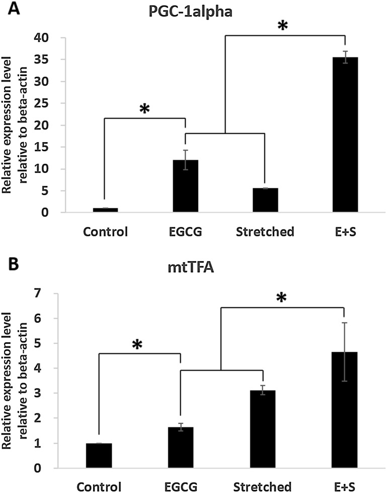 Fig. 4