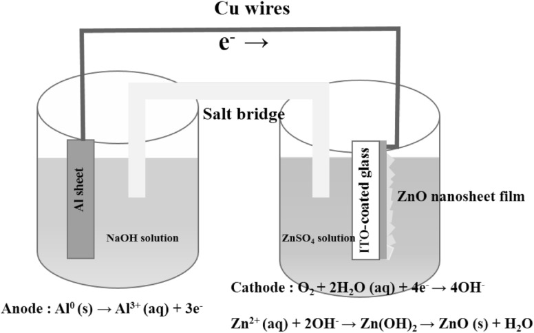 Fig. 1