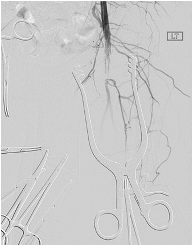 Fig. 4