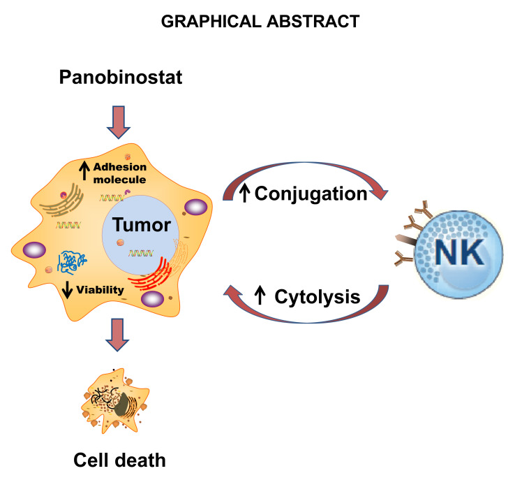 Graphical Abstract