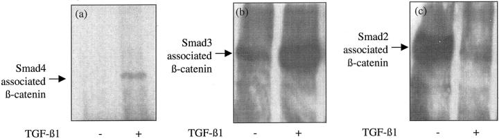 Figure 13.